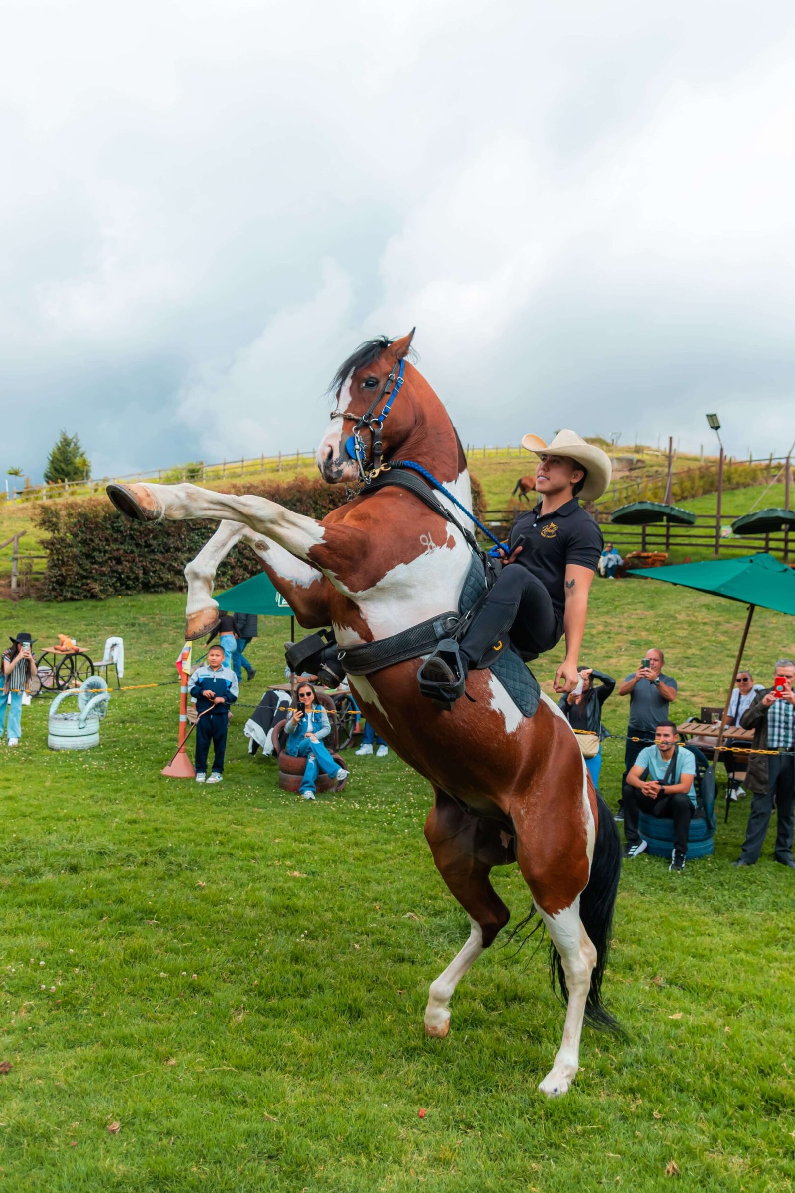 Show de caballos Rancho La Kamelia